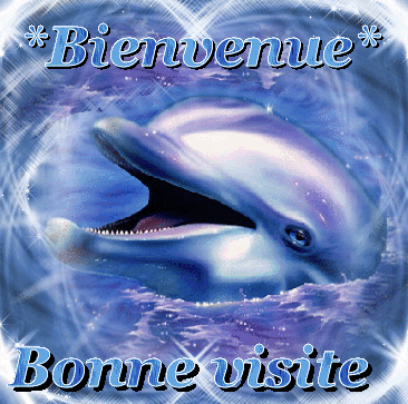 42e04aa6